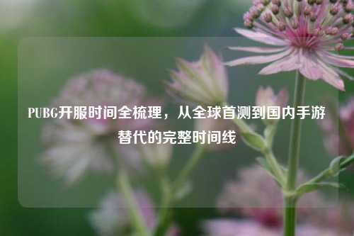PUBG开服时间全梳理,从全球首测到国内手游替代的完整时间线