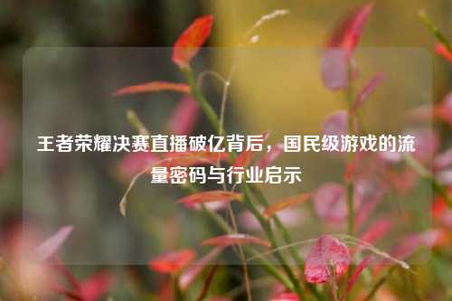 王者荣耀决赛直播破亿背后，国民级游戏的流量密码与行业启示