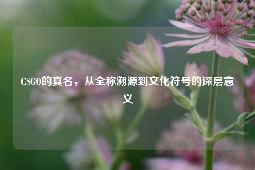 CSGO的真名，从全称溯源到文化符号的深层意义