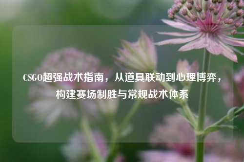 CSGO超强战术指南，从道具联动到心理博弈，构建赛场制胜与常规战术体系