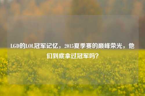 LGD的LOL冠军记忆,2015夏季赛的巅峰荣光,他们到底拿过冠军吗?