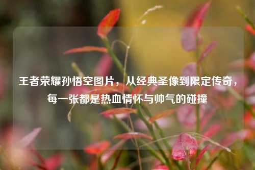 王者荣耀孙悟空图片，从经典圣像到限定传奇，每一张都是热血情怀与帅气的碰撞