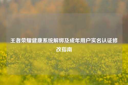 王者荣耀健康系统解绑及成年用户实名认证修改指南
