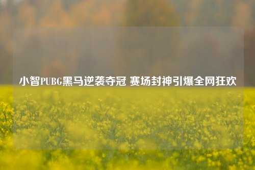 小智PUBG黑马逆袭夺冠 赛场封神引爆全网狂欢