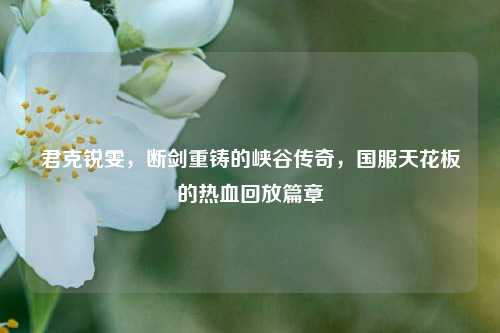 君克锐雯，断剑重铸的峡谷传奇，国服天花板的热血回放篇章