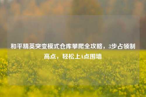 和平精英突变模式仓库攀爬全攻略，3步占领制高点，轻松上A点围墙
