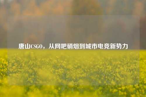 唐山CSGO,从网吧硝烟到城市电竞新势力