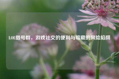 LOL借号群,游戏社交的便利与暗藏的风险陷阱