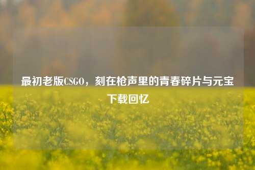 最初老版CSGO，刻在枪声里的青春碎片与元宝下载回忆