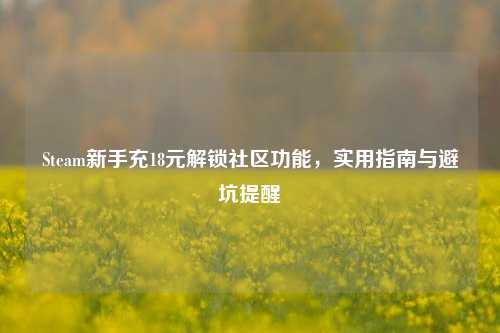 Steam新手充18元解锁社区功能,实用指南与避坑提醒