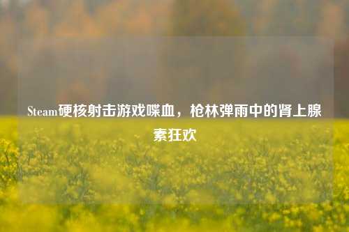 Steam硬核射击游戏喋血，枪林弹雨中的肾上腺素狂欢