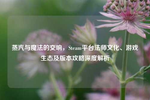 蒸汽与魔法的交响，Steam平台法师文化、游戏生态及版本攻略深度解析