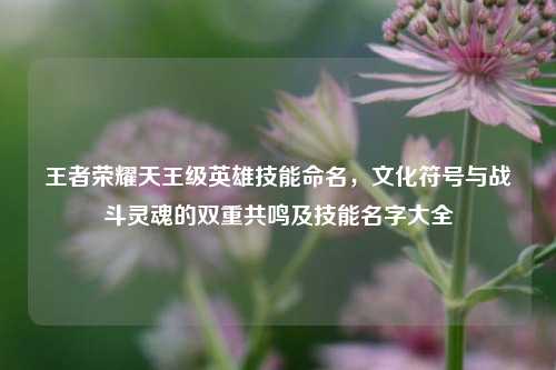 王者荣耀天王级英雄技能命名,文化符号与战斗灵魂的双重共鸣及技能名字大全