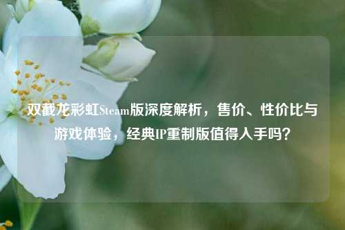 双截龙彩虹Steam版深度解析，售价、性价比与游戏体验，经典IP重制版值得入手吗？