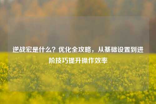 逆战宏是什么？优化全攻略，从基础设置到进阶技巧提升操作效率