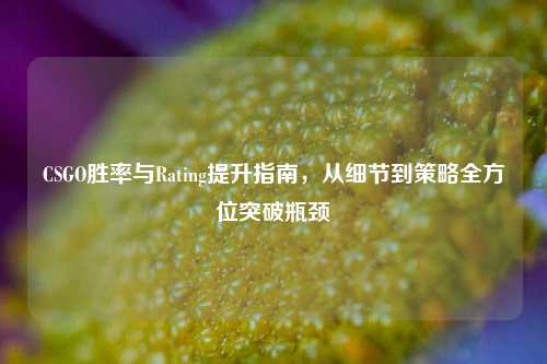 CSGO胜率与Rating提升指南，从细节到策略全方位突破瓶颈