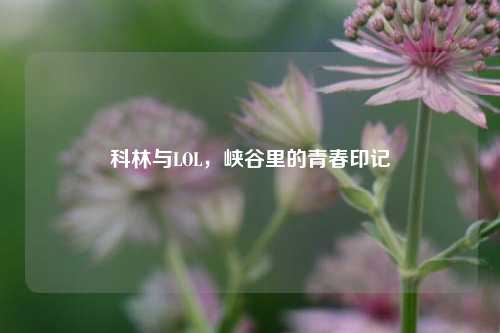 科林与LOL,峡谷里的青春印记