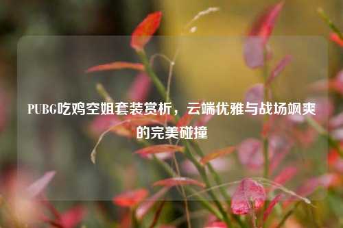 PUBG吃鸡空姐套装赏析，云端优雅与战场飒爽的完美碰撞