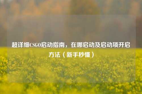 超详细CSGO启动指南，在哪启动及启动项开启方法（新手秒懂）