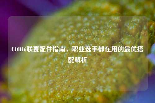 COD16联赛配件指南，职业选手都在用的最优搭配解析