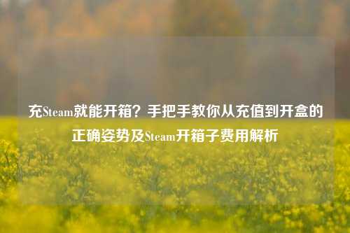 充Steam就能开箱?手把手教你从充值到开盒的正确姿势及Steam开箱子费用解析