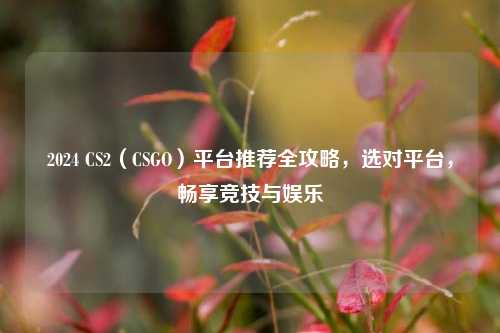 2024 CS2(CSGO)平台推荐全攻略,选对平台,畅享竞技与娱乐