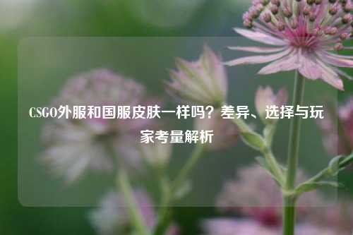 CSGO外服和国服皮肤一样吗？差异、选择与玩家考量解析