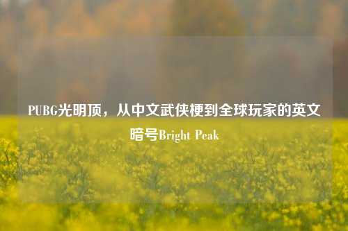 PUBG光明顶,从中文武侠梗到全球玩家的英文暗号Bright Peak