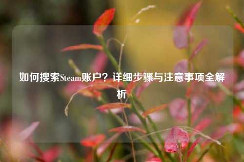 如何搜索Steam账户？详细步骤与注意事项全解析