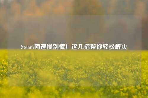 Steam网速慢别慌！这几招帮你轻松解决