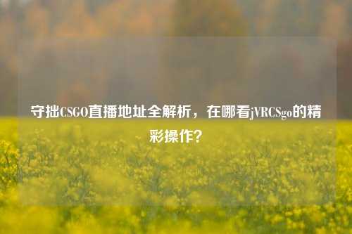 守拙CSGO直播地址全解析，在哪看jVRCSgo的精彩操作？