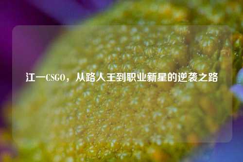江一CSGO,从路人王到职业新星的逆袭之路