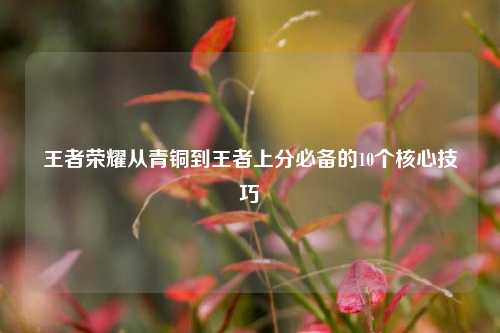 王者荣耀从青铜到王者上分必备的10个核心技巧
