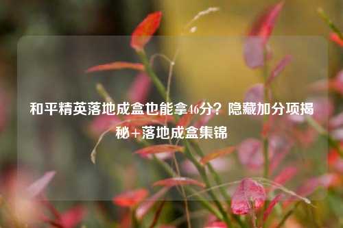 和平精英落地成盒也能拿46分？隐藏加分项揭秘+落地成盒集锦