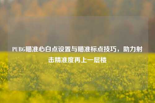 PUBG瞄准心白点设置与瞄准标点技巧，助力射击精准度再上一层楼