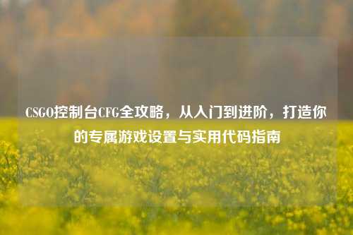 CSGO控制台CFG全攻略,从入门到进阶,打造你的专属游戏设置与实用代码指南