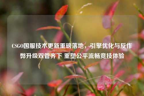 CSGO国服技术更新重磅落地，引擎优化与反作弊升级双管齐下 重塑公平流畅竞技体验