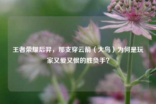 王者荣耀后羿，那支穿云箭（大鸟）为何是玩家又爱又恨的胜负手？