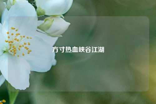 方寸热血峡谷江湖