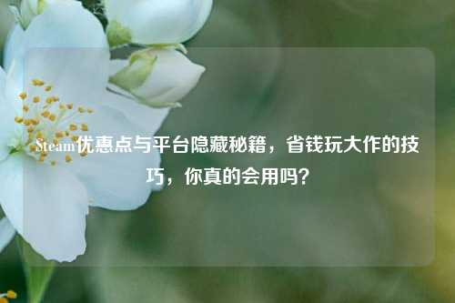 Steam优惠点与平台隐藏秘籍,省钱玩大作的技巧,你真的会用吗?