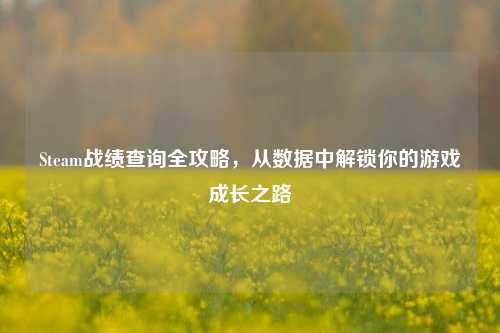 Steam战绩查询全攻略，从数据中解锁你的游戏成长之路