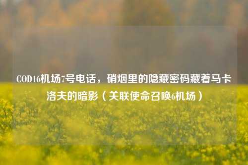 COD16机场7号电话，硝烟里的隐藏密码藏着马卡洛夫的暗影（关联使命召唤6机场）