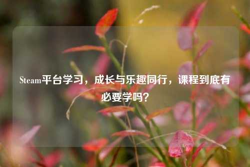 Steam平台学习，成长与乐趣同行，课程到底有必要学吗？
