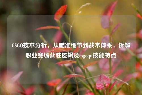 CSGO技术分析，从瞄准细节到战术体系，拆解职业赛场获胜逻辑及csgoqu技能特点