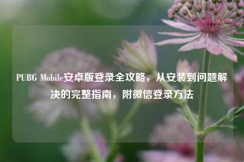 PUBG Mobile安卓版登录全攻略，从安装到问题解决的完整指南，附微信登录方法