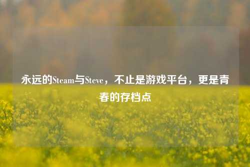 永远的Steam与Steve，不止是游戏平台，更是青春的存档点