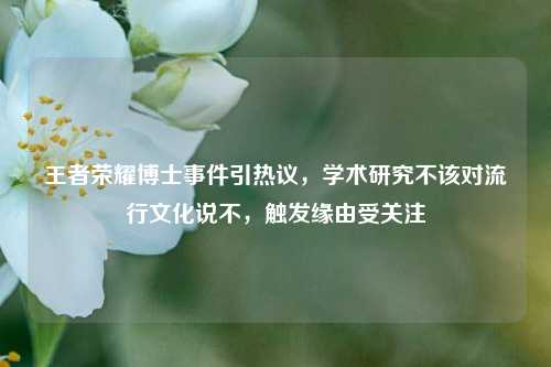 王者荣耀博士事件引热议，学术研究不该对流行文化说不，触发缘由受关注