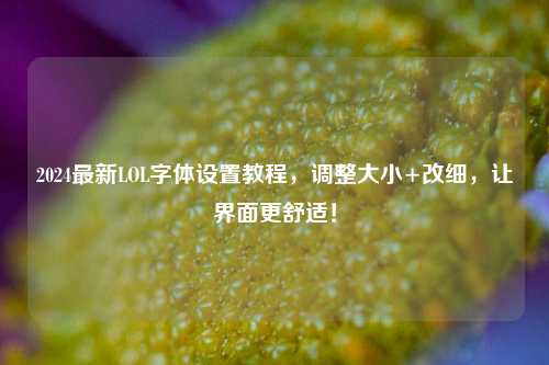 2024最新LOL字体设置教程，调整大小+改细，让界面更舒适！