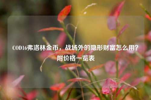 COD16弗洛林金币，战场外的隐形财富怎么用？附价格一览表