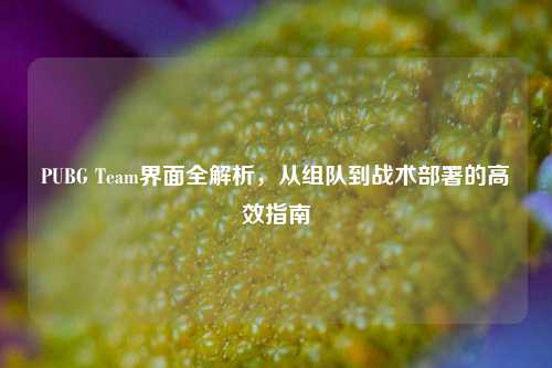 PUBG Team界面全解析，从组队到战术部署的高效指南